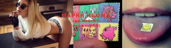 прущие грибы Алзамай