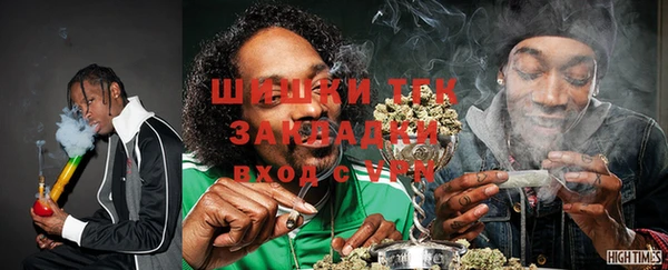 прущие грибы Алзамай