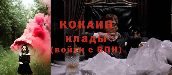 прущие грибы Алзамай