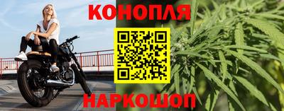 гашик Ачхой-Мартан